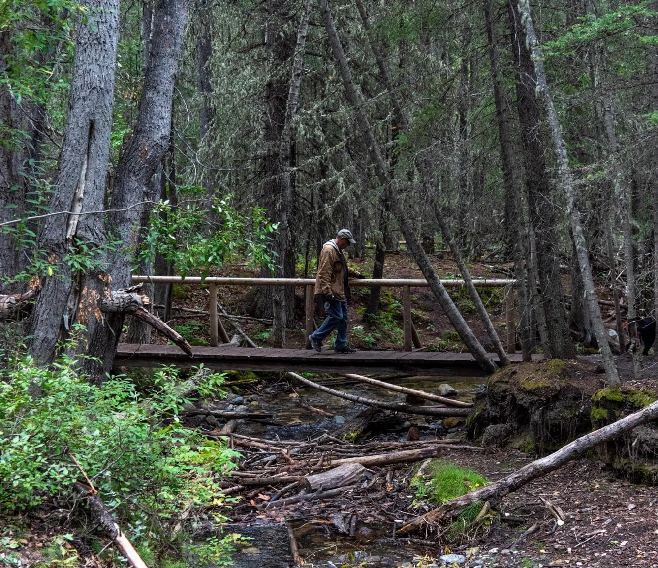 a hiker crossing a bridge in the forest